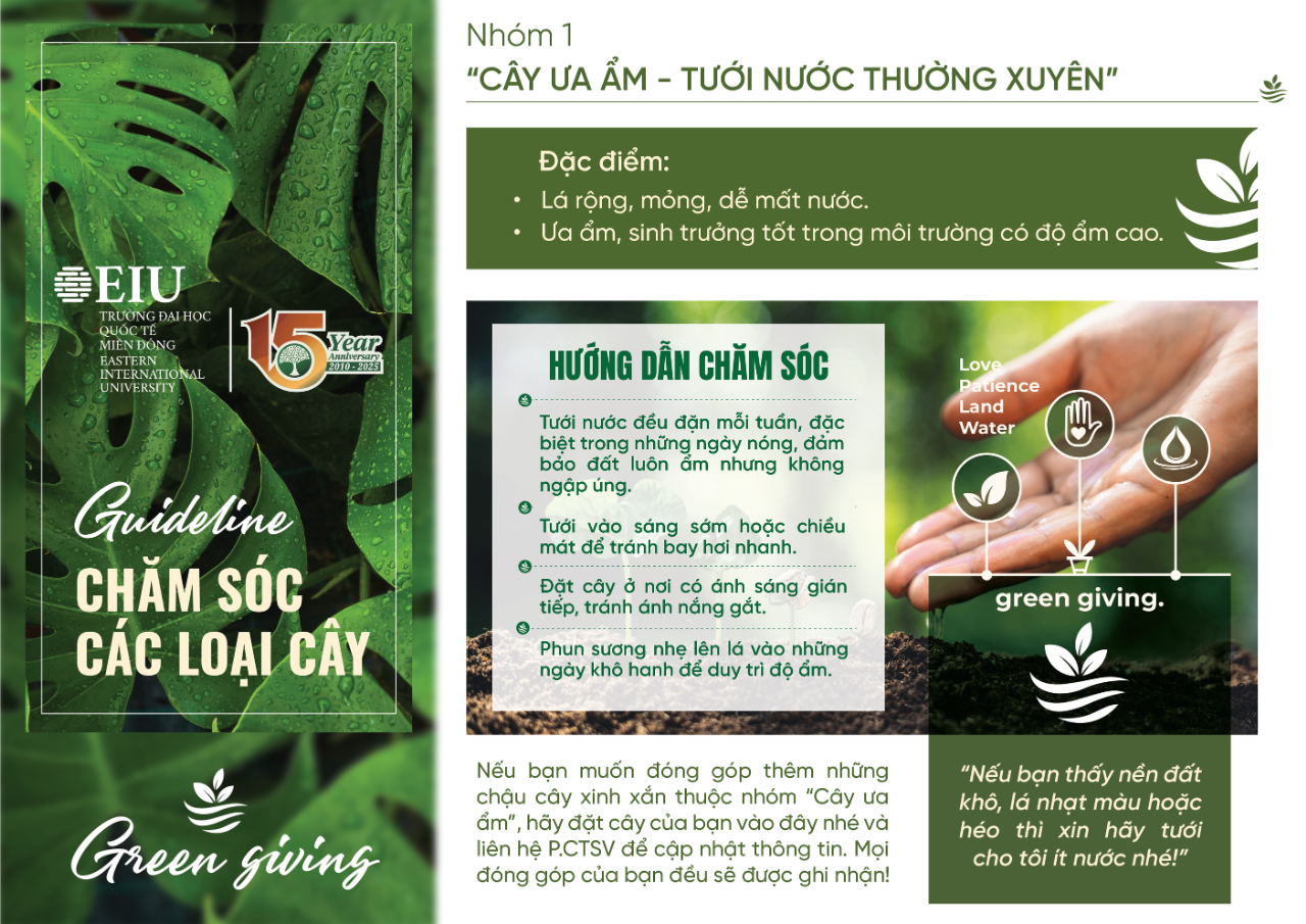Hướng dẫn chăm sóc câu ưa ẩm