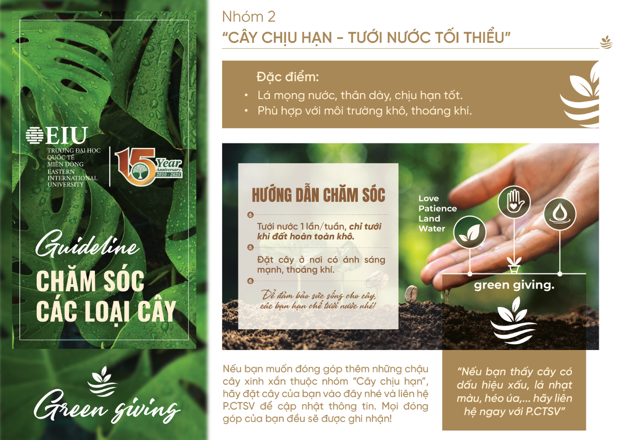 Hướng dẫn chăm sóc cây ưa khô