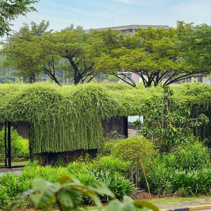 Báo cáo phát triển bền vững
