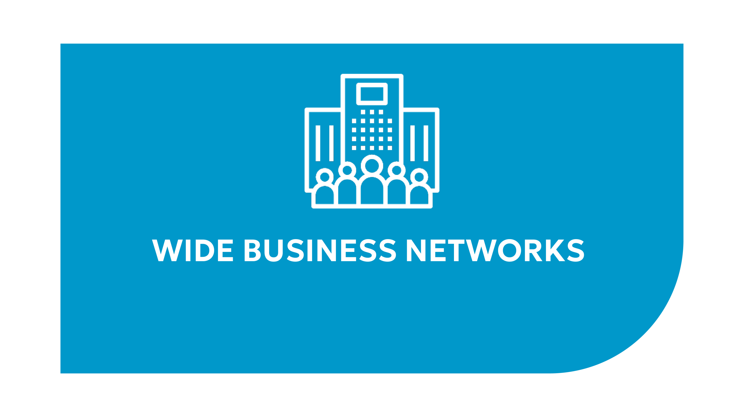 Wide business networks