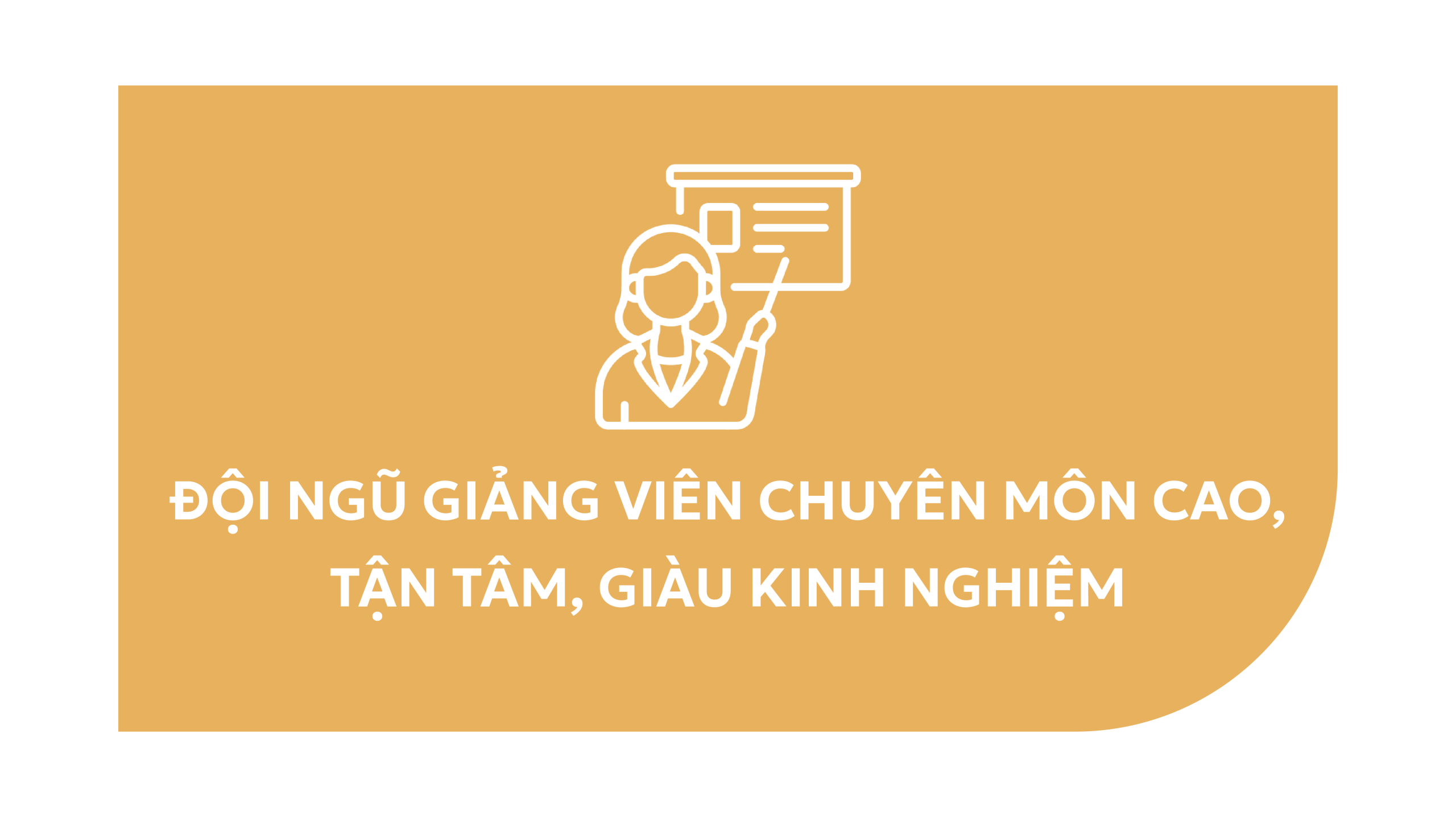 Đội ngũ giảng viên